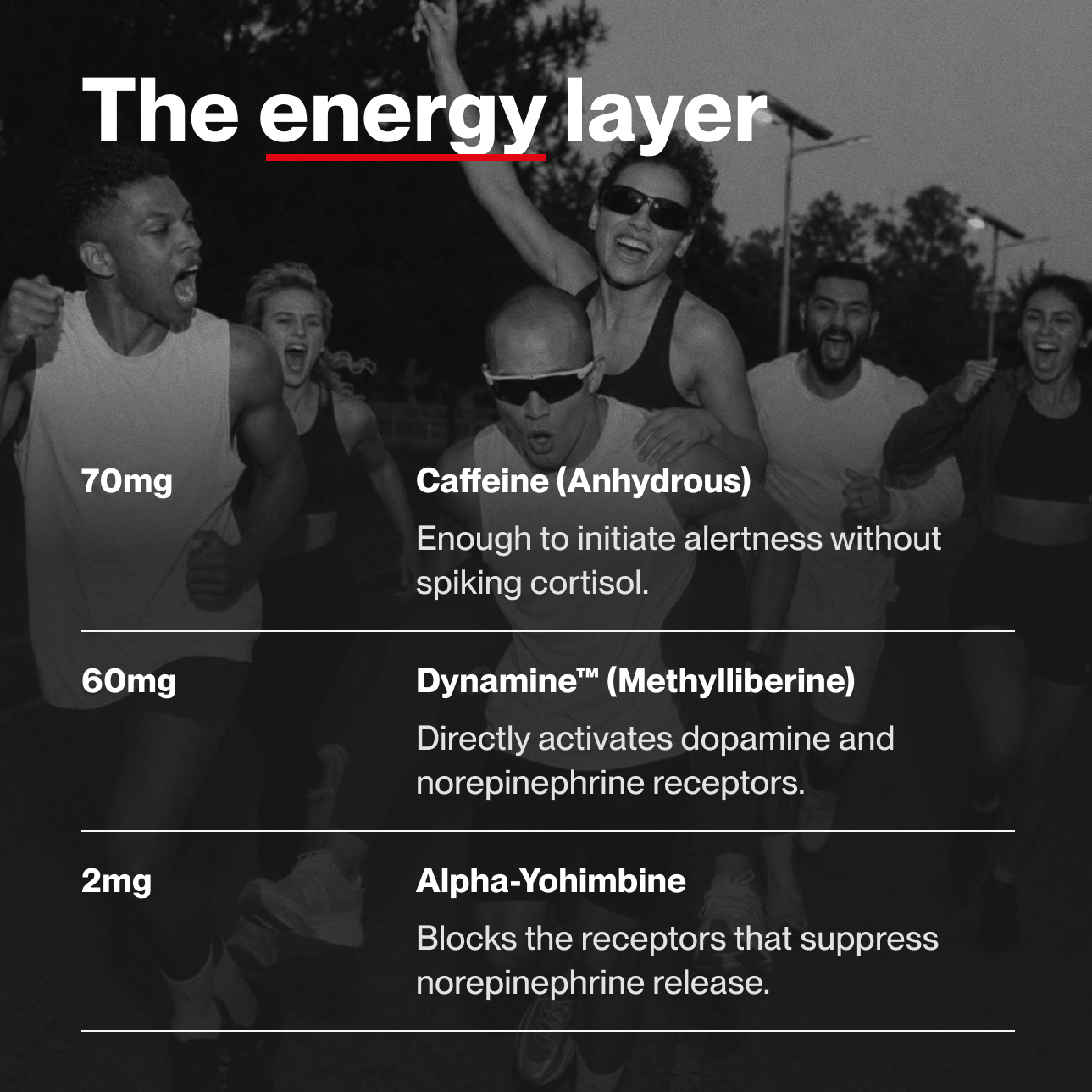VOLTA 01 — ENERGY // FOCUS