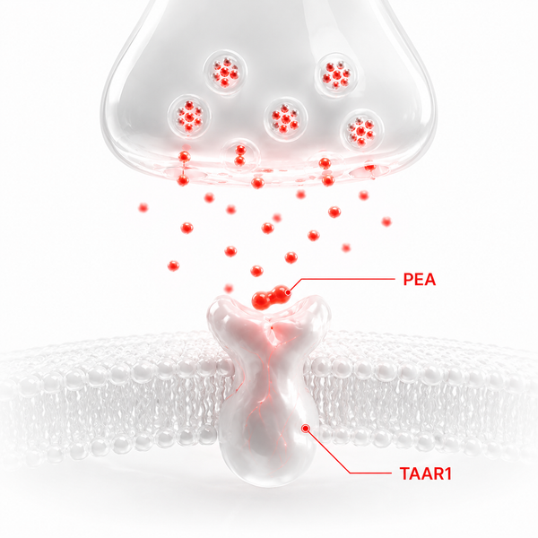 PEA triggers dopamine + noradrenaline release