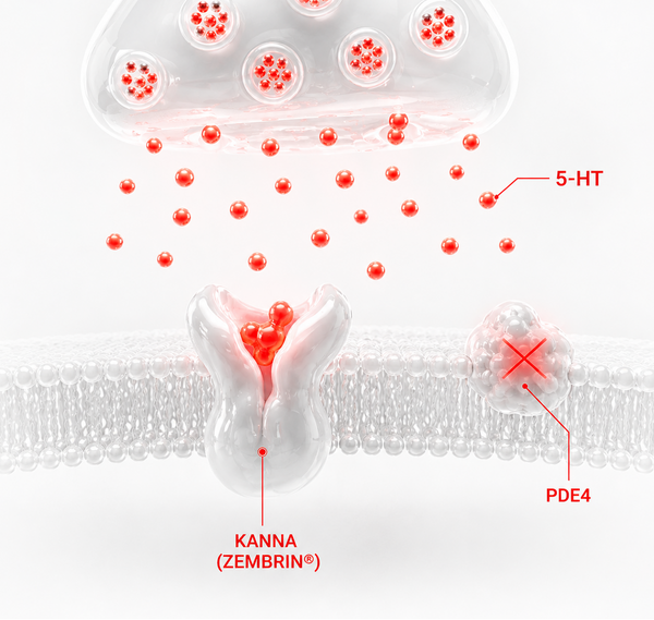 Kanna (Zembrin®) blocks serotonin reuptake + PDE4