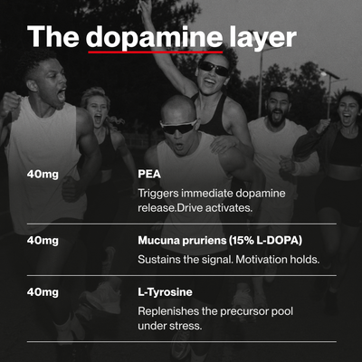 VOLTA 02 —  DOPAMINE // MOTIVATION